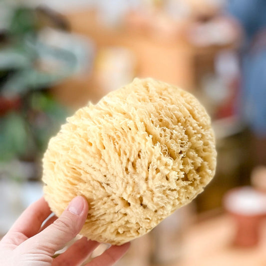 Rock Island Wool Sea Sponges