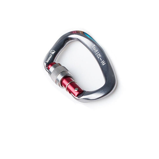 Safety Carabiner Sturdy Climbing Equipment Locking Accessories D-Shaped Outdoor Sport Tool Protective Buckle for Body Protecting Grey